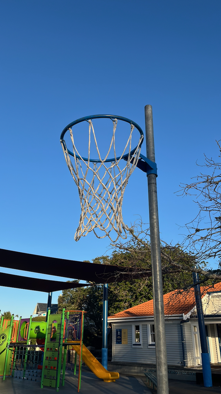 PDS netball hoop